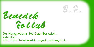 benedek hollub business card